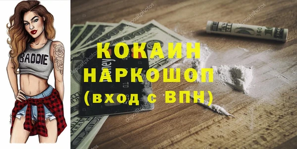 твердый Арсеньев
