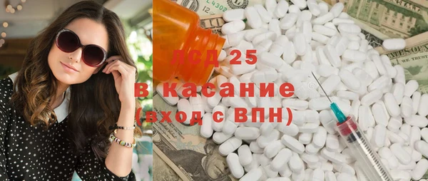 твердый Арсеньев