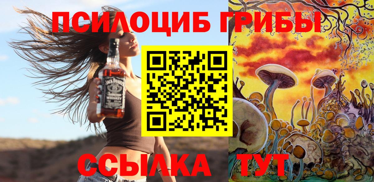 Псилоцибиновые грибы Psilocybine cubensis  Вход с VPN  Дзержинск 
